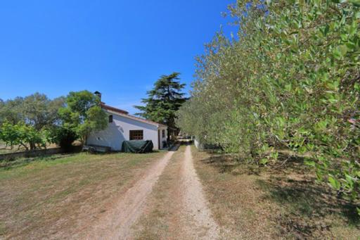 Apartmani Pjer 2 Bibinje Esterno foto